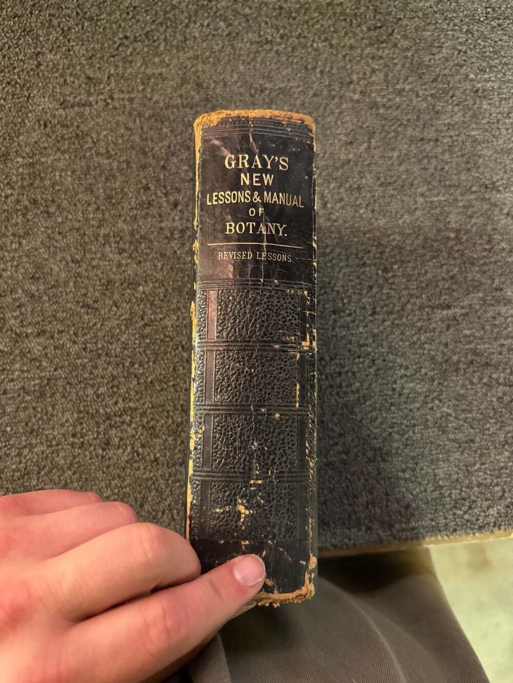 Gray's New Lessons & Manual of Botany, 1887 Revised Edition